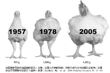 UG环球·(中国区)官方网站