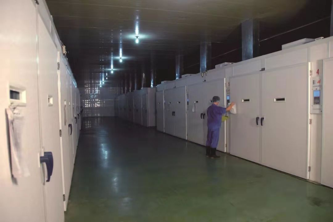 UG环球·(中国区)官方网站