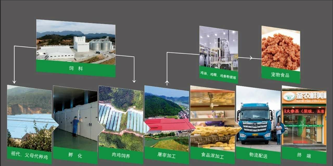 UG环球·(中国区)官方网站
